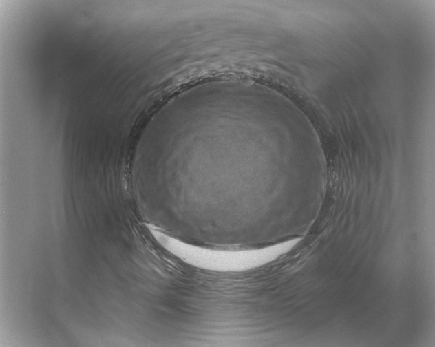 X0000070181490200606091453