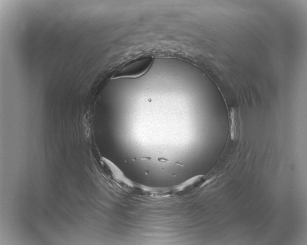 X0000070181491200606091453