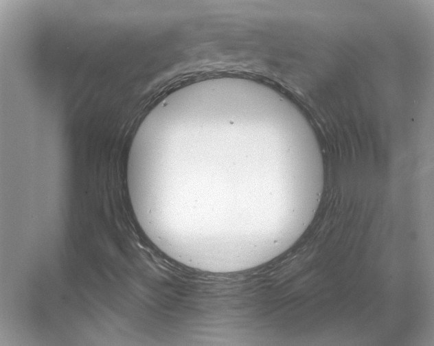 X0000070181492200606091453