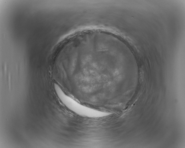 X0000070181494200606091453