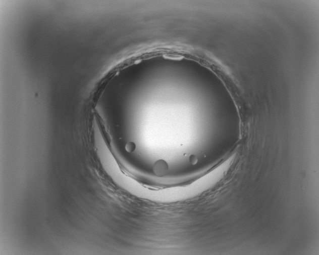 X0000070181496200606091453