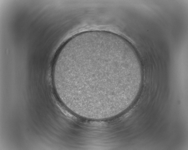 X0000070181498200606091453