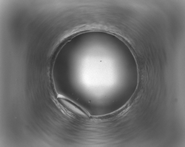 X0000070181499200606091453