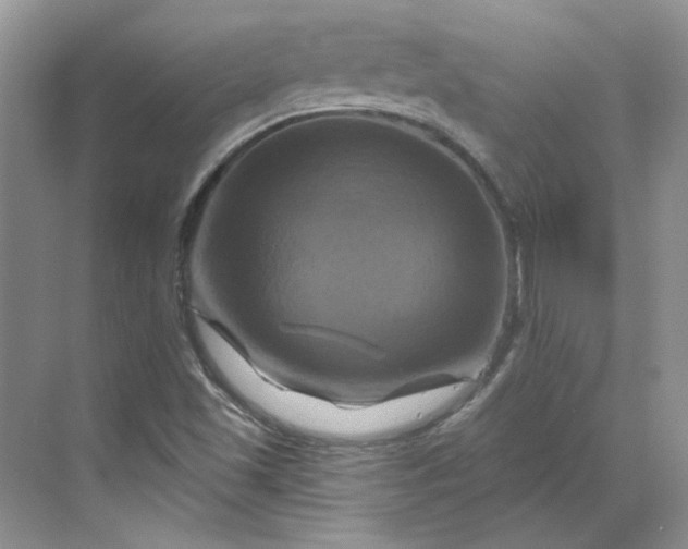 X0000070181501200606091453