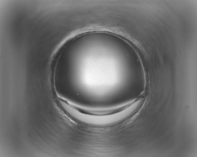 X0000070181502200606091453