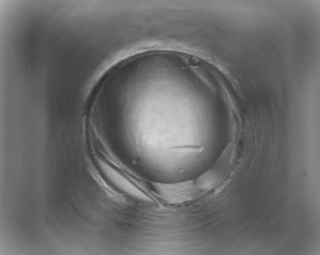 X0000070181503200606091453