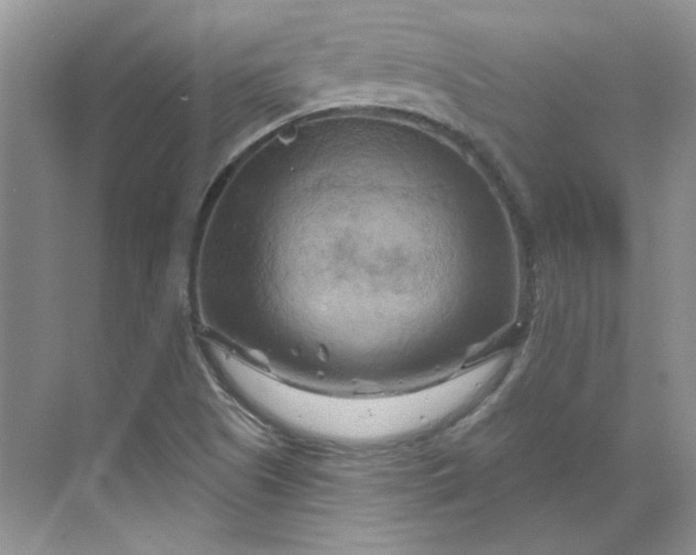 X0000070181505200606091453