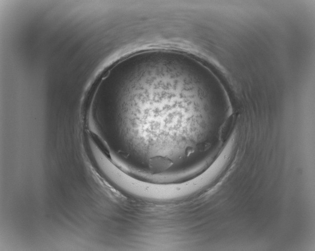 X0000070181506200606091453