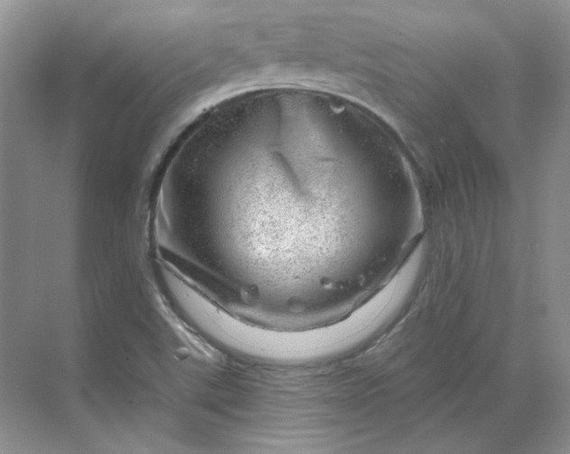 X0000070181507200606091453