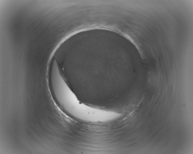 X0000070181508200606091453