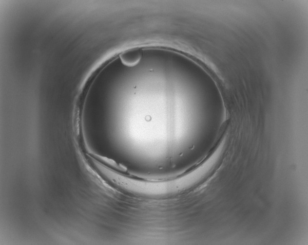 X0000070181510200606091453