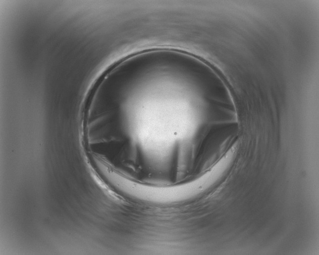 X0000070181511200606091453