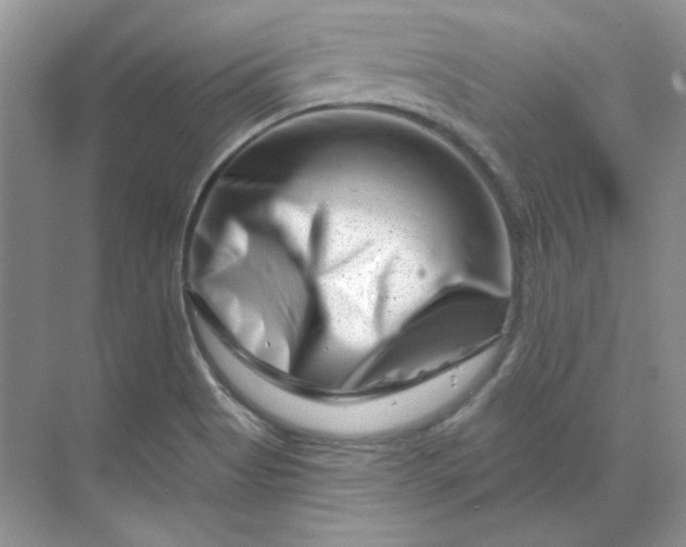 X0000070181513200606091453