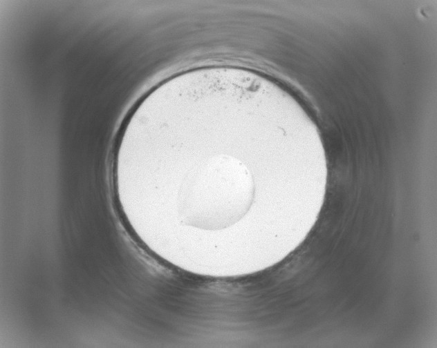 X0000070181514200606091453