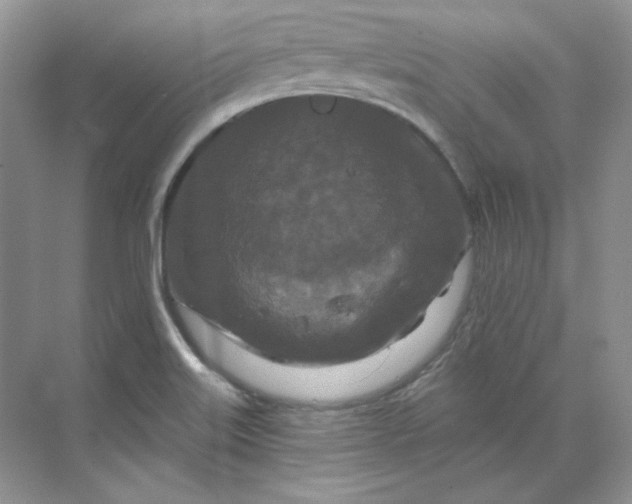 X0000070181515200606091453