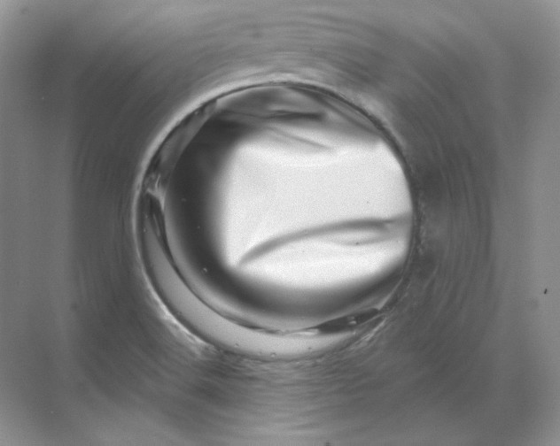 X0000070181516200606091453