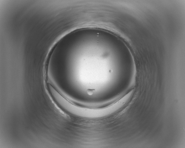 X0000070181517200606091453