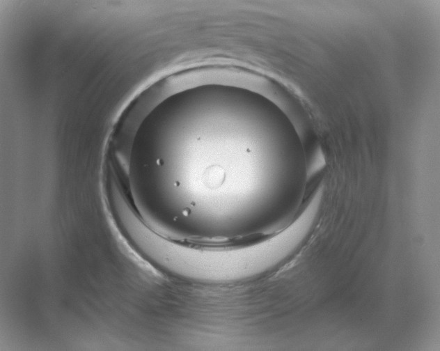 X0000070181518200606091453