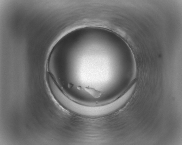 X0000070181520200606091453