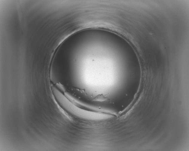 X0000070181521200606091453