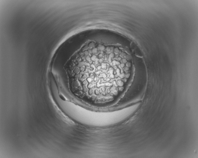 X0000070181522200606091453