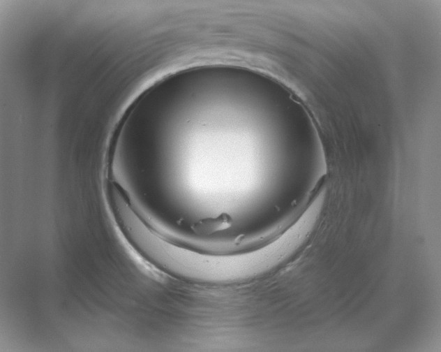 X0000070181523200606091453