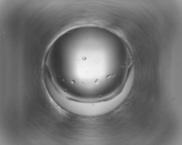 X0000070181524200606091453