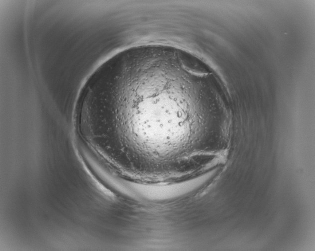 X0000070181525200606091453