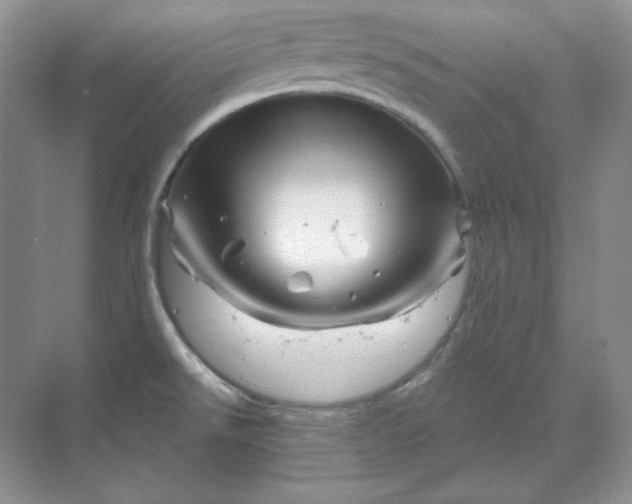 X0000070181526200606091453