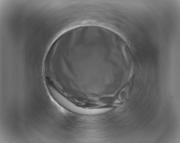 X0000070181527200606091453