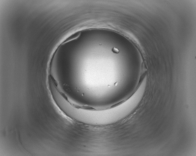 X0000070181528200606091453