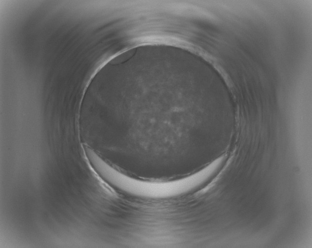 X0000070181529200606091453