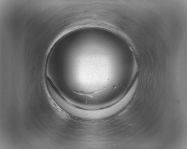 X0000070181530200606091453