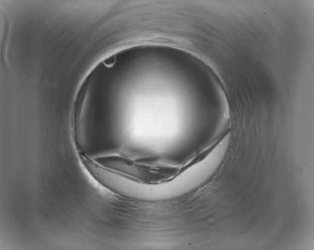 X0000070181531200606091453