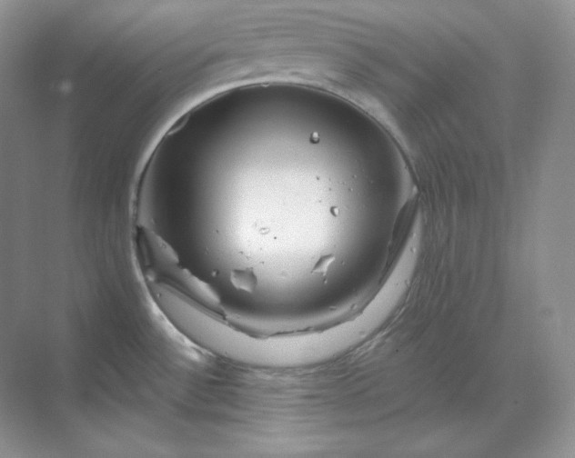 X0000070181532200606091453