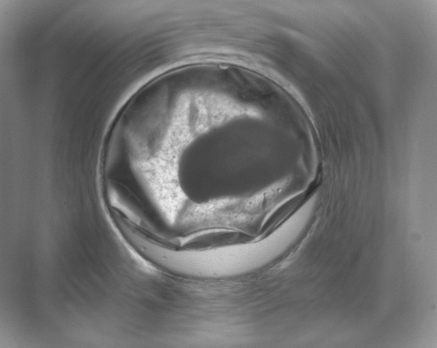 X0000070181533200606091453