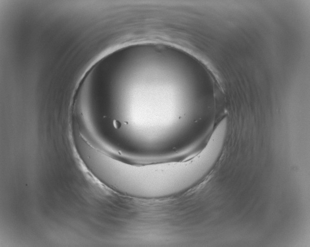 X0000070181534200606091453