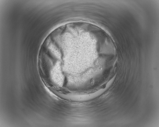 X0000070181535200606091453