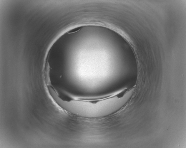 X0000070181536200606091453