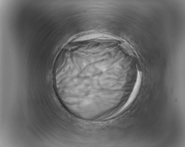 X0000070180002200606162134