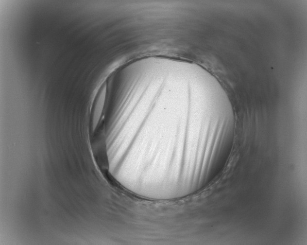 X0000070180003200606162134