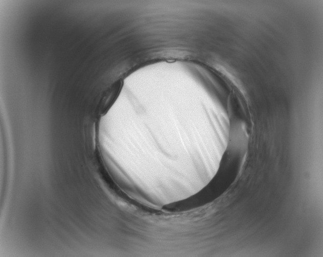 X0000070180013200606162134