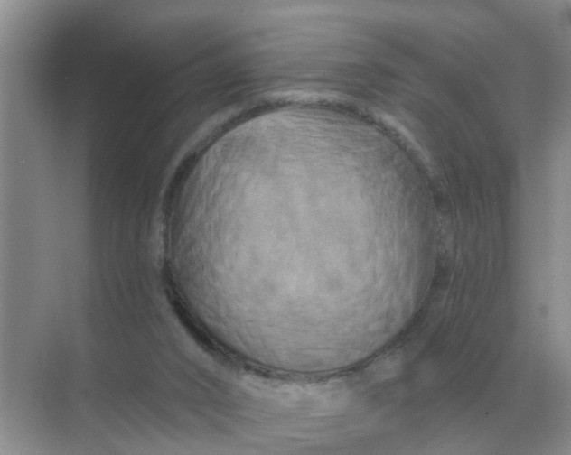 X0000070180016200606162134