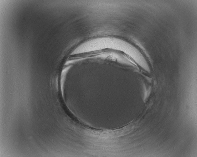 X0000070180019200606162134