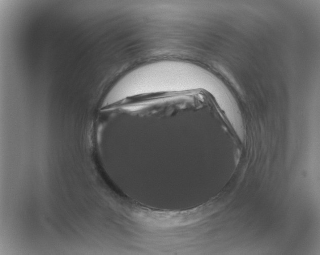 X0000070180023200606162134