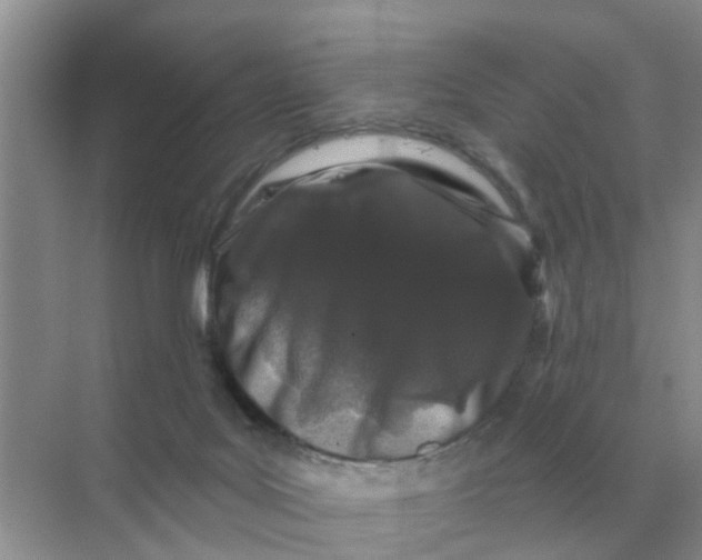 X0000070180027200606162133