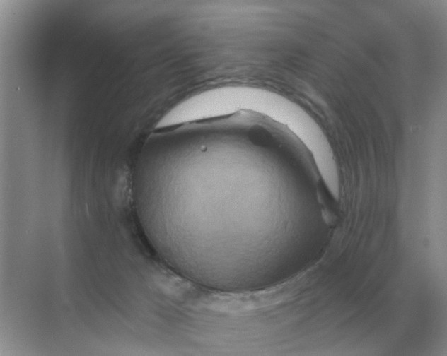 X0000070180029200606162133