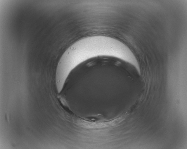 X0000070180031200606162133