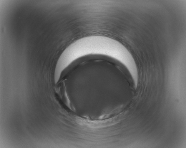 X0000070180039200606162133