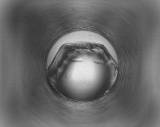 X0000070180040200606162133